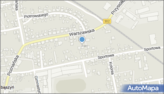 Aksion Tomasz Szczepaniak, Warszawska 26A, Zbąszyń 64-360 - Przedsiębiorstwo, Firma, NIP: 9231491379