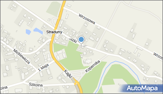 Alan Trojanowski Marcin, ul. Tadeusza Kościuszki 7, Straduny 19-300 - Przedsiębiorstwo, Firma, NIP: 8481525794