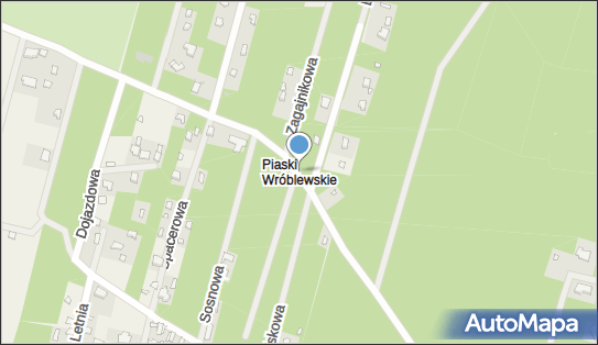 Albin Marcin Almar, Piaski Wróblewskie - Przedsiębiorstwo, Firma