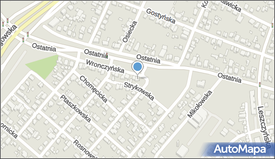 Aldona Pietrzak - Działalność Gospodarcza, Wronczyńska 32 60-102 - Przedsiębiorstwo, Firma, NIP: 7791048804