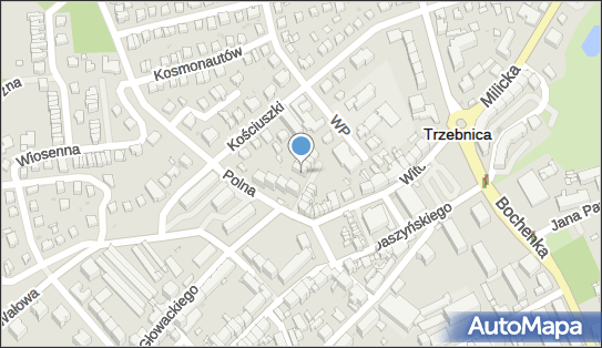9151325555, Alegra Anna Cichy 