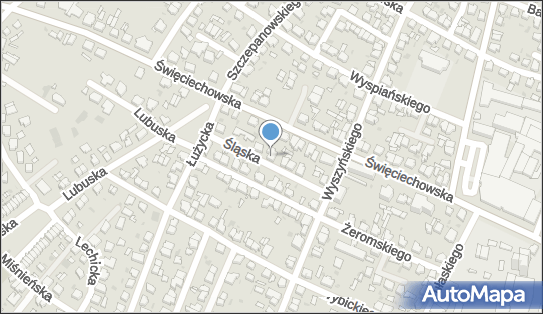 Alek Wet Leszno, Śląska 8, Leszno 64-100 - Przedsiębiorstwo, Firma, NIP: 6971343059