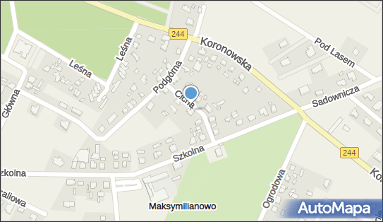 5541184362, Aleksander Dowgajło 