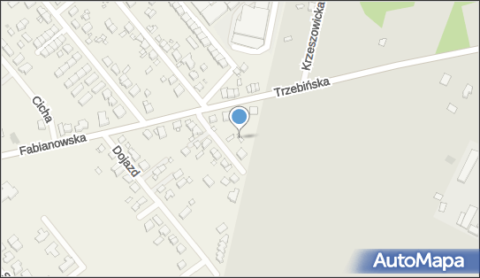 Aleksander Sieczkowski Reklamowski, Graniczna 11, Plewiska 62-064 - Przedsiębiorstwo, Firma, NIP: 7821301427