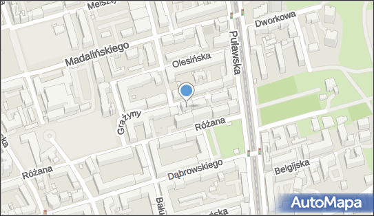 5213399655, Aleksander Wilewski Artic Fox 