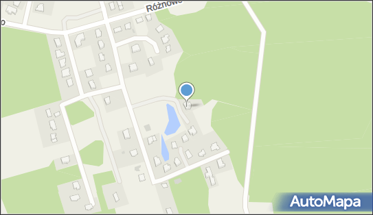 Aleksandra Golon, Różnowo 236, Różnowo 11-001 - Przedsiębiorstwo, Firma, NIP: 7393676760