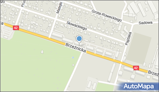 Aleksandra Skupińska Firma Us Ługowa Domena Biz, Brzeźnicka 34 97-500 - Przedsiębiorstwo, Firma, NIP: 7722336374