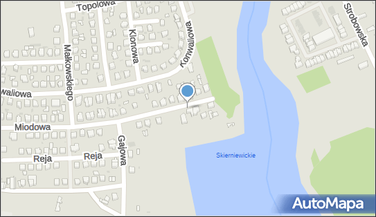Aleksandra Starzec, Miodowa 42, Skierniewice 96-100 - Przedsiębiorstwo, Firma, NIP: 8361785618