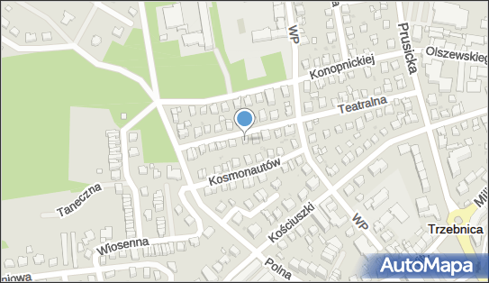 Aleksandra Szalińska, Teatralna 23, Trzebnica 55-100 - Przedsiębiorstwo, Firma, NIP: 8842463851