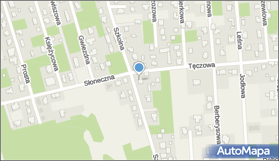 Aleksy Patyk Diagnostyka Samochodowa, ul. Szkolna 39, Wierzchowisko 42-233 - Przedsiębiorstwo, Firma, NIP: 9490130162