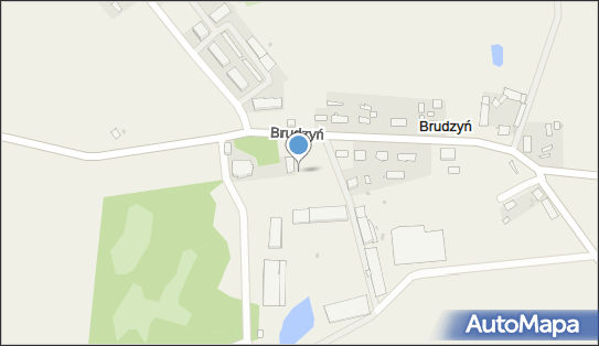 ALEX, Brudzyń 1, Brudzyń 88-430 - Przedsiębiorstwo, Firma, NIP: 5621534410