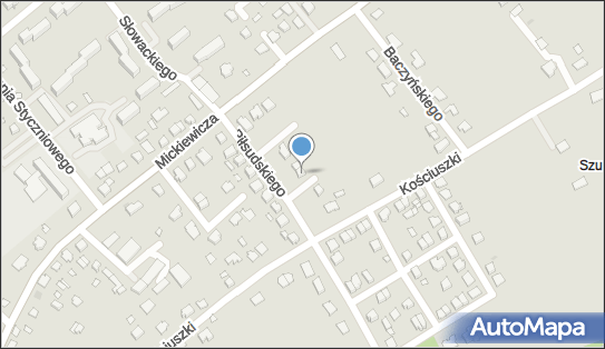 8491589011, Aliaksandr Shaluhin 