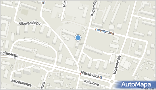 Alians, ul. Mikołaja Kopernika 11/25, Świdnik 21-040 - Przedsiębiorstwo, Firma, numer telefonu, NIP: 7131727901