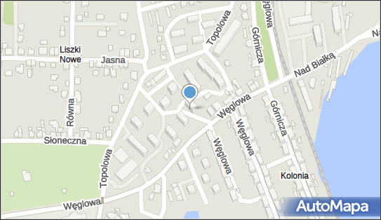Alicja Waligóra-Mrowiec Firma Usługowa Mop, Węglowa 73 43-502 - Przedsiębiorstwo, Firma, NIP: 9371308493