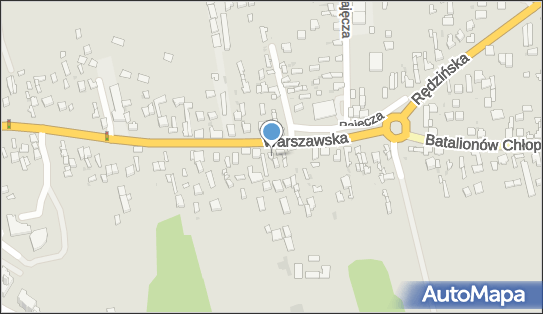 Aligator, Rędzińska 14, Częstochowa 42-209 - Przedsiębiorstwo, Firma, numer telefonu