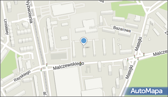 8511019743, Dziak Alina 