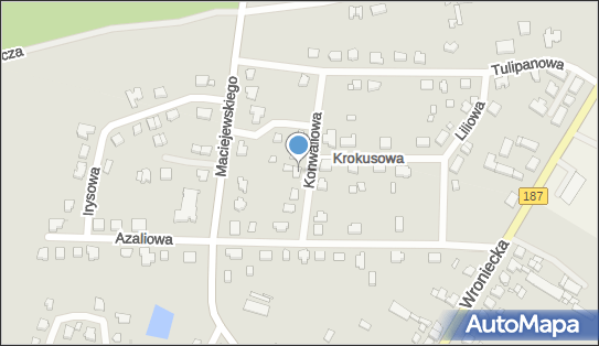 Alina Kruk - Działalność Gospodarcza, Konwaliowa 5, Pniewy 62-045 - Przedsiębiorstwo, Firma