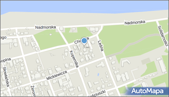 Alina Sarnecka, ul. Fryderyka Chopina 12, Ustka 76-270 - Przedsiębiorstwo, Firma, NIP: 8392101199