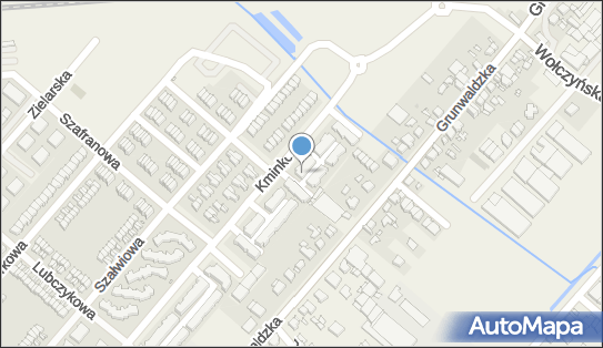 Alizey, Kminkowa 184a, Plewiska 62-064 - Przedsiębiorstwo, Firma, NIP: 7791931648