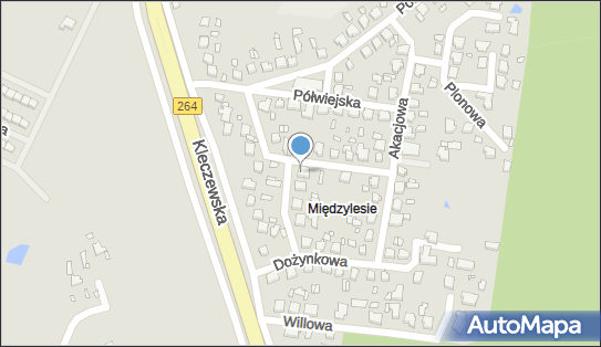 All About YOU, Wrzosowa 10, Konin 62-510 - Przedsiębiorstwo, Firma, NIP: 6652824121