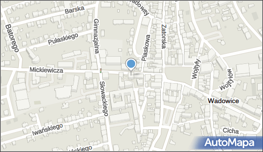 Altan Karaagaç, ul. Mickiewicza 7, Wadowice 34-100 - Przedsiębiorstwo, Firma, NIP: 6342754001