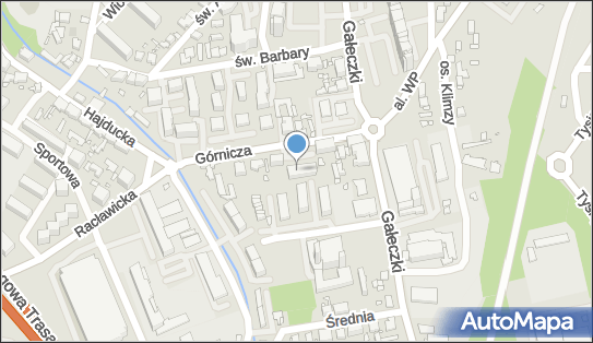 Altana Alternatywna Agencja Nawigacji Artystów, ul. Górnicza 7 41-500 - Przedsiębiorstwo, Firma, NIP: 6342352544