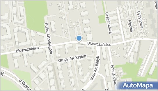 Alte Studio, ul. Bluszczańska 63, Warszawa 00-712 - Przedsiębiorstwo, Firma, numer telefonu, NIP: 1250828396