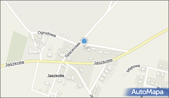 Alton 1 Krzysztof Petrus, Jaszkotle 22A, Jaszkotle 55-080 - Przedsiębiorstwo, Firma, NIP: 8981014074