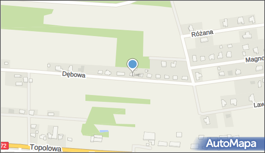 Amadeusz Kowalski Kowal Trans, ul. Dębowa 29, Słodków-Kolonia 62-700 - Przedsiębiorstwo, Firma, NIP: 6681922926