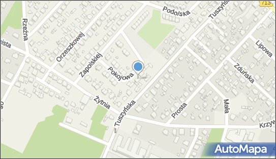 Ambasada Urody Janina Darmos, Tuszyńska 31, Andrespol 95-020 - Przedsiębiorstwo, Firma, NIP: 7261012744
