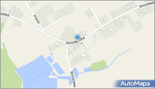 Amelia- Joanna Stęczniak, Wrocławska 128, Bukowice 56-321 - Przedsiębiorstwo, Firma, NIP: 9161169298