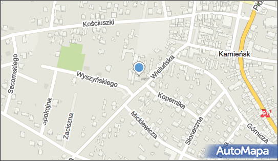 Amest Kamieńsk, Wieluńska 50, Kamieńsk 97-360 - Przedsiębiorstwo, Firma, numer telefonu, NIP: 7721981084