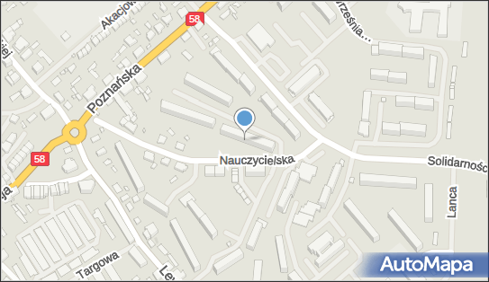 Amexim Network, ul. Nauczycielska 17/56, Szczytno 12-100 - Przedsiębiorstwo, Firma, NIP: 7451162441