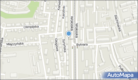 Amex, Wołoska 67, Warszawa 02-583 - Przedsiębiorstwo, Firma, numer telefonu