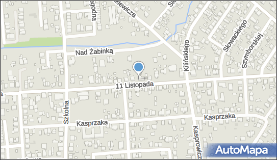 Ampshack Przemysław Piechota, 11 Listopada 42, Luboń 62-030 - Przedsiębiorstwo, Firma, NIP: 7772992005
