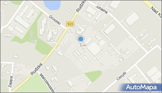 AMUR, Rudzka 103, Racibórz 47-400 - Przedsiębiorstwo, Firma, numer telefonu, NIP: 6391116625