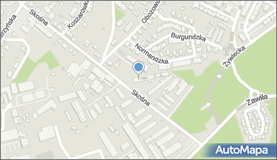 AM, Skośna 45, Kraków 30-383 - Przedsiębiorstwo, Firma, numer telefonu, NIP: 1060003008
