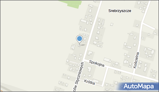 Andrii Pikuta, Powstańców Styczniowych 25, Srebrzyszcze 22-100 - Przedsiębiorstwo, Firma, NIP: 9462644512