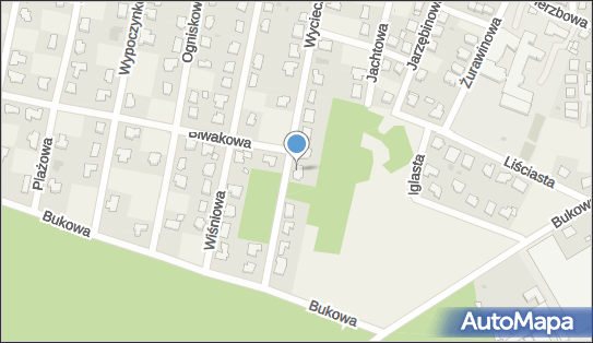 5542915773, Andrii Shevchuk 