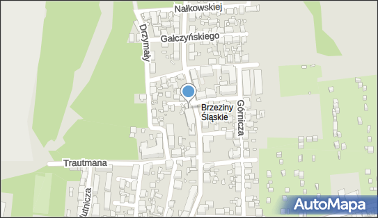 6451817930, Andrzej Gogolin 