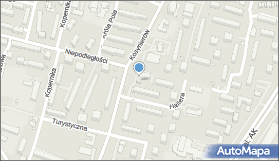 432266485, Andrzej Kierepka 