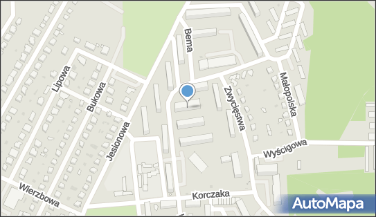 9171007083, Transport Osobowy Taxi Andrzej Kupisz 