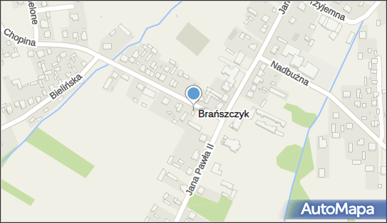 Andrzej Mikołajewski, ul. Fryderyka Chopina 1, Brańszczyk 07-221 - Przedsiębiorstwo, Firma, NIP: 7621217082
