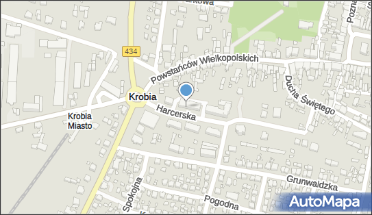 Andrzej Piotrowiak Firma Handlowa, Harcerska 5, Krobia 63-840 - Przedsiębiorstwo, Firma, NIP: 6961626471
