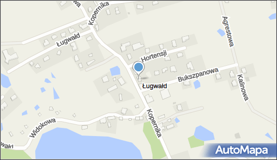 7431011696, Firma Andrzej Rajewski 