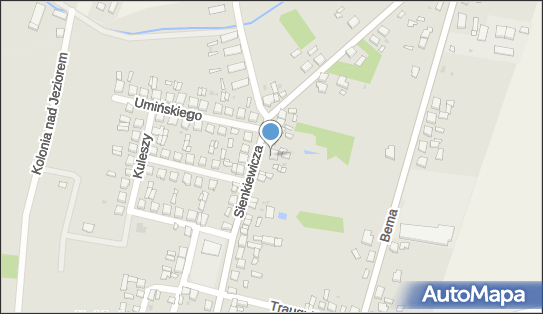 Andrzej Siurmicki, ul. Henryka Sienkiewicza 16, Przedecz 62-635 - Przedsiębiorstwo, Firma, NIP: 6661851643