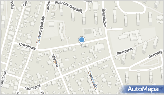711585941, Andrzej Sowiński Global Holding Corporation 