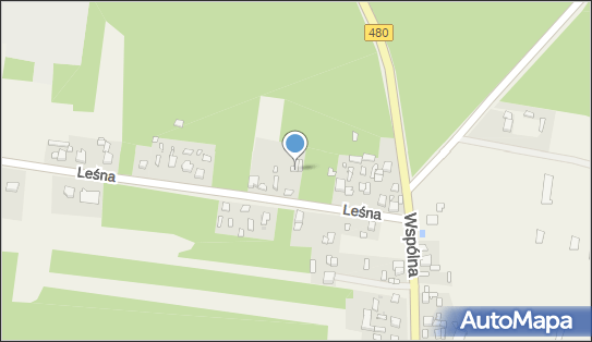 Andrzej Szymczak, Leśna 14, Witów 98-260 - Przedsiębiorstwo, Firma, NIP: 8271334941