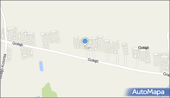 Andrzej Wiejak - Działalność Gospodarcza, Gołąb 55A, Gołąb 21-140 - Przedsiębiorstwo, Firma, NIP: 7141690571