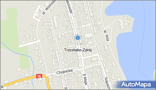 Andrzej Witorzeńć - Działalność Gospodarcza, ul. Kościuszki 15 74-510 - Przedsiębiorstwo, Firma, numer telefonu, NIP: 8581236204